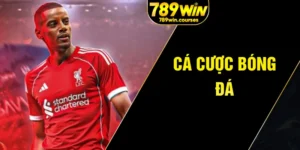 cá cược bóng đá