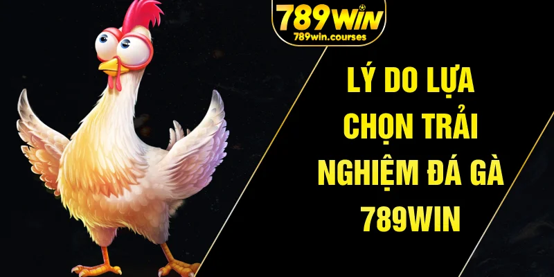 Lý do lựa chọn trải nghiệm đá gà 789win