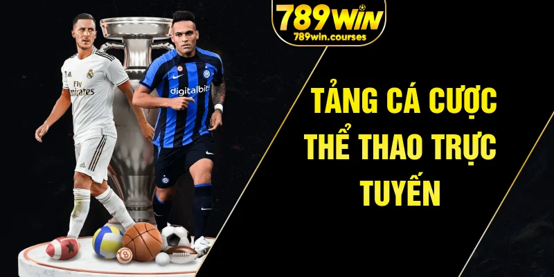 Nền tảng cá cược thể thao trực tuyến 789win uy tín
