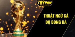 thuật ngữ cá độ bóng đá